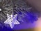 Christmas star light on a silver frosty branch