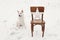 Christmas star on rustic chair and cute white dog in snowy winter field. Magic Winter time. Stylish big white xmas star on wooden