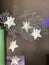 Christmas starlights on silver branch