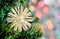 Christmas straw snowflake on fir tree