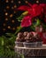 Christmas sweets and desserts, chocolate cupcakes, decoration with poinsettia and fir branches
