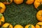 Christmas tangerines with leaves lie in a plate covered with needles of a Christmas tree close-up