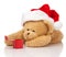 Christmas teddy bear