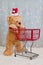 Christmas teddy bear pushing shopping cart