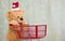 Christmas teddy bear pushing shopping cart