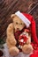 Christmas teddy bear with vintage nutcracker