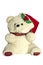 Christmas teddybear