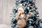 Christmas theme and children. Little Caucasian boy child in a warm hat and sweater posing, eating sweetness, dirty face. Christmas