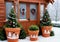 Christmas-Themed Terracotta Planters In A Wintery Garden Setting. Generative AI