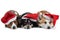 Christmas three dogs welsh corgi pembroke and cardican . Pet in a New Year`s cap on a white background