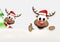 Christmas Thumbs Up Reindeer Winter Design