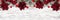 Christmas top border of ornaments, snowy branches and red and black check plaid bows and ribbon on a white wood banner background