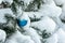 Christmas toy, Christmas blue ball under the snow on a branch of fir on the left. Real winter in the garden.