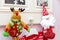 The Christmas toy deer and Santa on pictures in a frames