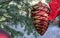 Christmas toy red cedar cone and poinsettia flower