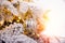 Christmas tree background with artificial snow decorated toys balls, branch golden illumination