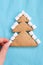 Christmas tree biscuits. White small marshmallow. Blue background
