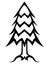 Christmas tree black and white linear picture. Outline conifer tree vector illustration.