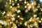 Christmas tree bokeh light in green yellow golden color, holiday abstract background, blur defocused