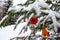 Christmas tree branch with decorations on the background of the Orthodox cross with a crucifix. The Orthodox Church. Winter is Chr