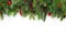 Christmas tree branches background