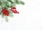 Christmas tree branches red berries decoration