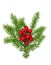 Christmas tree branches red berries decoration