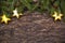 Christmas tree branches with star baubles and lights on wooden background.