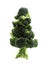 Christmas tree from brocolli