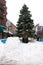 Christmas tree on Church Street, Burlington, Vermont