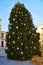 Christmas tree, in Cima Square, in Conegliano Veneto, Italy, details