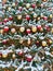 Christmas tree covered with snow, decorated with red and gold Christmas balls