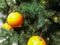 Christmas tree decorated with Golden balls toys on a blurred, sparkling and fabulous fairy background with beautiful bokeh, copy