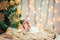 A Christmas tree decorated snowflakes and a garland, cup of coffee, candy with knitted scarf on the background