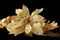 Christmas tree decoration ornament magnolia