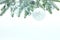 Christmas tree decorations hanging on green snowy branch against white winter background