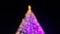 Christmas tree defocused background