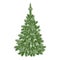 Christmas tree, detailed vintage vector illustration