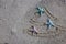 Christmas tree drawn in sand at the beach with multicoloured starfishes. Holiday concept.