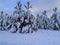 Christmas tree fairytale landscape snow on its feet