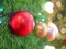 Christmas Tree fir close up decoration with big red and glitter golden balls has blur bokeh lightbulb background selective focus,