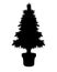 Christmas tree in flower pot - vector silhouette for logo or pictogram. A small coniferous tree in a flowerpot is an icon or sign