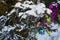 Christmas tree in the forest decorated with sweets and a garland and a blue ball and branches of fir covered with snow.