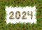 Christmas tree framework and 2024 number