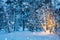 Christmas tree with garland lights and snow in winter forest