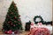 Christmas tree with gifts for new year bedroom holiday winter