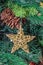 Christmas tree hanging ornament, gold star, close up