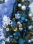 Christmas tree with Hanukkah decorations