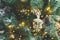 Christmas tree holiday background, closeup