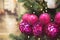 Christmas tree with holiday pink disco balls and lights with copy space on blurred bokeh background in interiors.